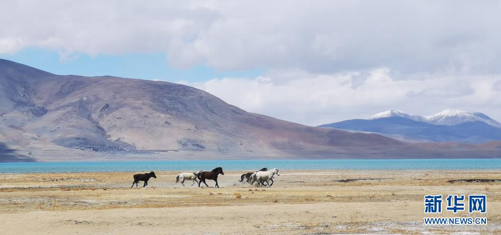 ????? ????? ??? ???. [5? 14? ??/?? ??: ???]