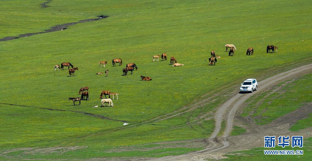 ??? ????? ???? ??? ?? ??. [6? 6? ??/?? ??: ???]