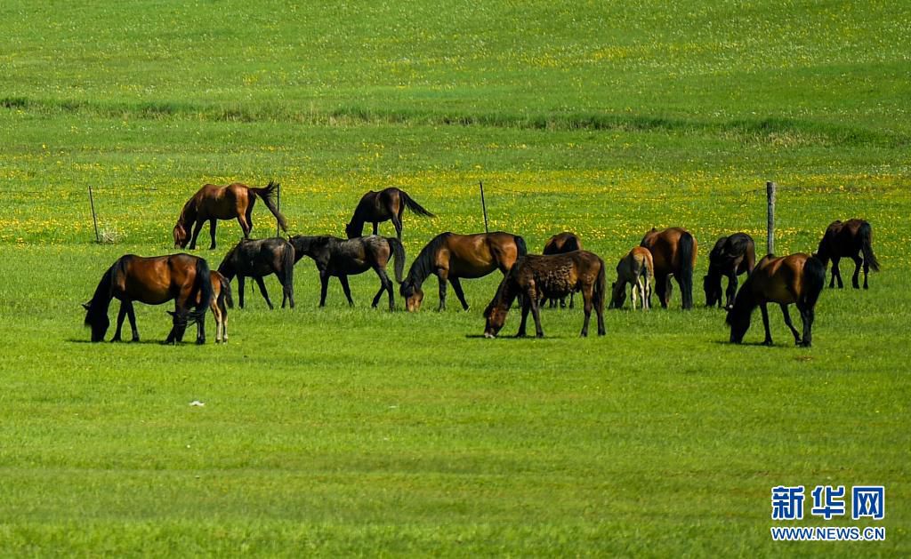 ??? ????? ???? ??? ?? ??. [6? 6? ??/?? ??: ???]