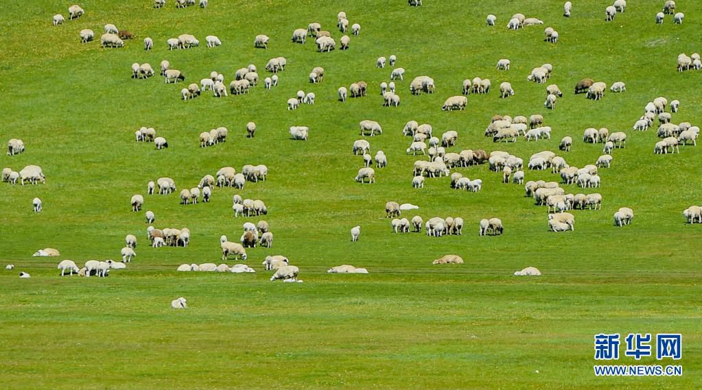 ??? ????? ???? ??? ?? ??. [6? 6? ??/?? ??: ???]