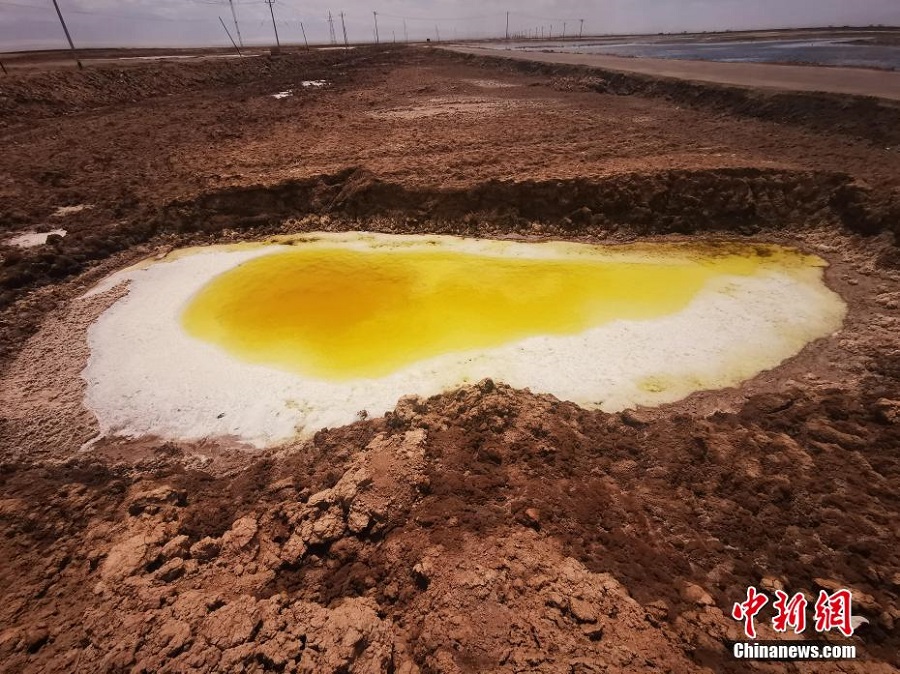 ‘?????’ ? [?? ??: ??? ?????? ???TV???]