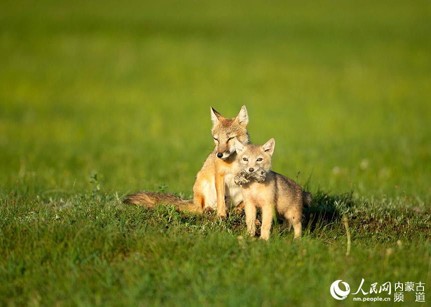 ?? ??? ?? ??? ?? ?? ??. [?? ??: ???]