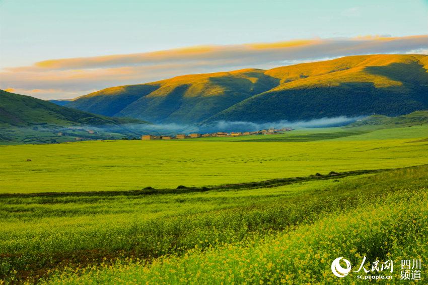 ???? ?? ??? ??? ? ??. [?? ??: ???]