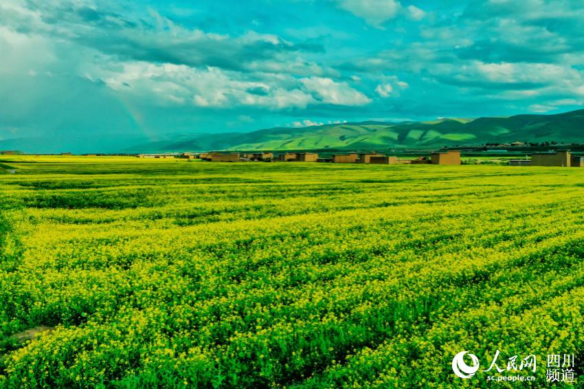 ??? ??? ??? ?? [?? ??: ???]