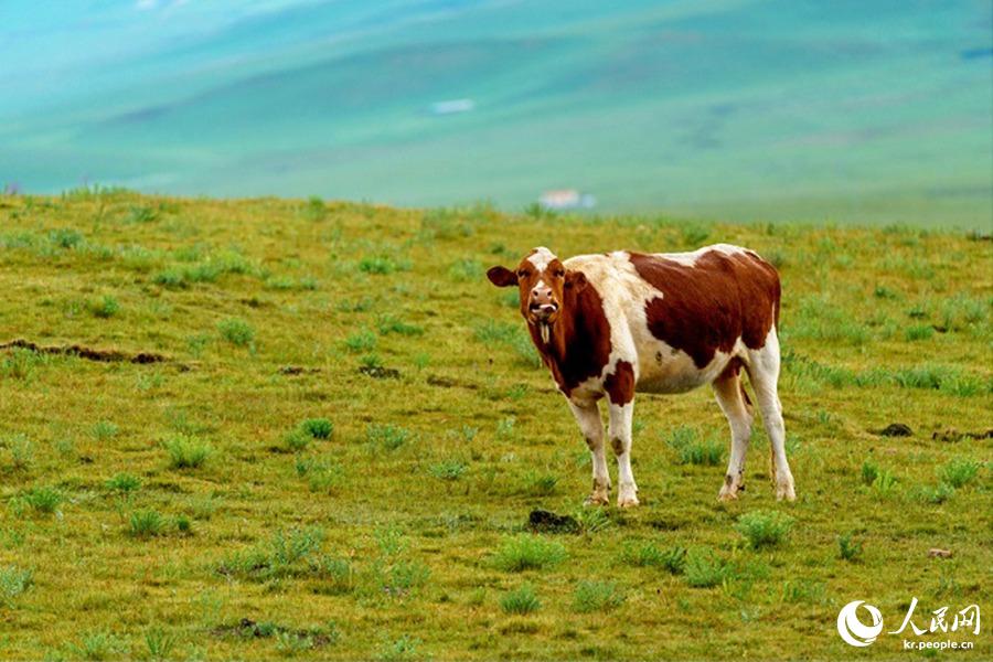 ?? ?? ?? ??. [7? 28? ??/?? ??: ???]