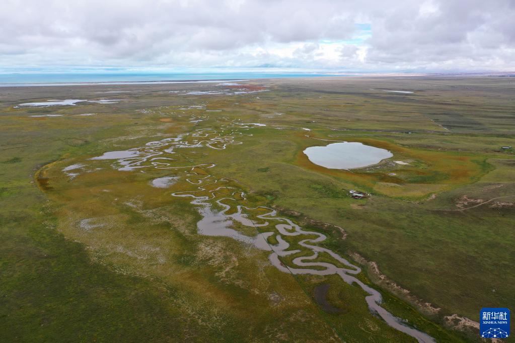 ????? ???(倒淌)? [?? ??: ???]