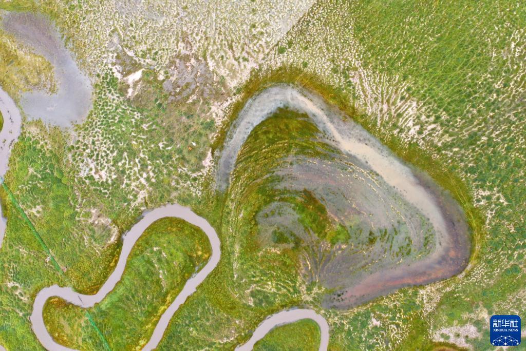 ????? ???? [?? ??: ???]