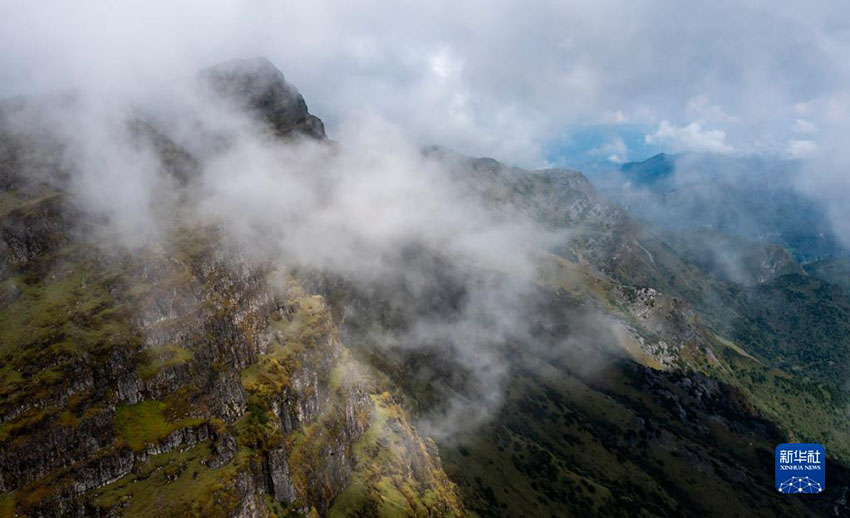 ??? ??? ???? [9? 22? ??/?? ??: ???]