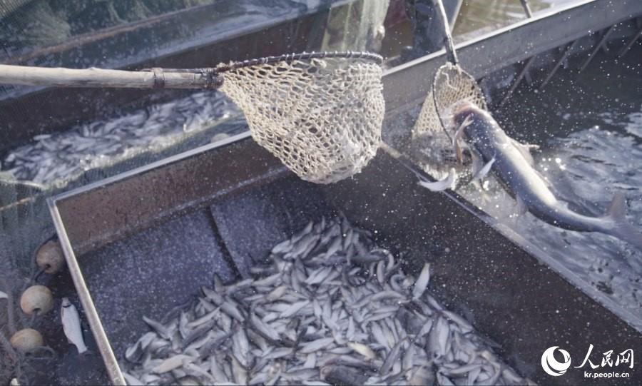 10? 23? ?? ????? ???? ????? ??? ?? ???? ???? ???? ??. ???? ???? ???? ????? 2019? ????? 10? ?? ???? ?????. [??: ??(蘇群)/?? ??: ???]