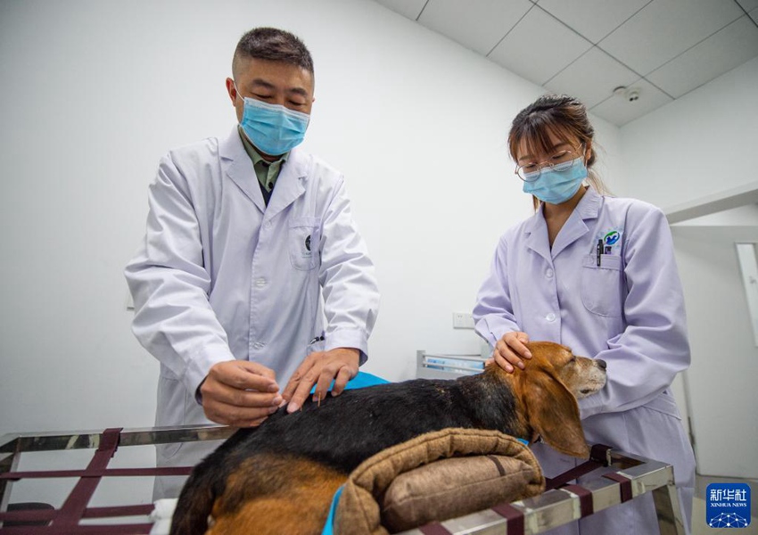 ???? ??? ? ? ??? ???? ??. [11? 5? ??/?? ??: ???]