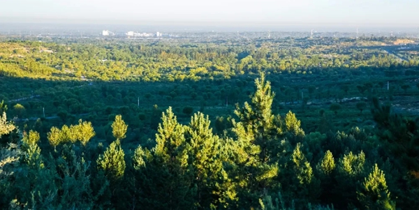 ??(陜西), ????(內(nèi)蒙古), ??(寧夏) ? ??? ?? ?? ????(毛烏素) ??? ?? 4? ?? ? ????. ??? ?? ????? ?? ??? ????.  [?? ??/??: ?? ???????]