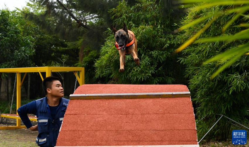 ‘????’? ???? ??? ??? ??? ??? ??. [11? 17? ??/?? ??: ???]