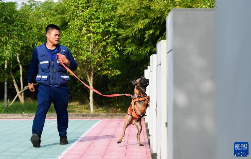 ‘????’? ???? ??? ?? ???? ???. [11? 12? ??/?? ??: ???]