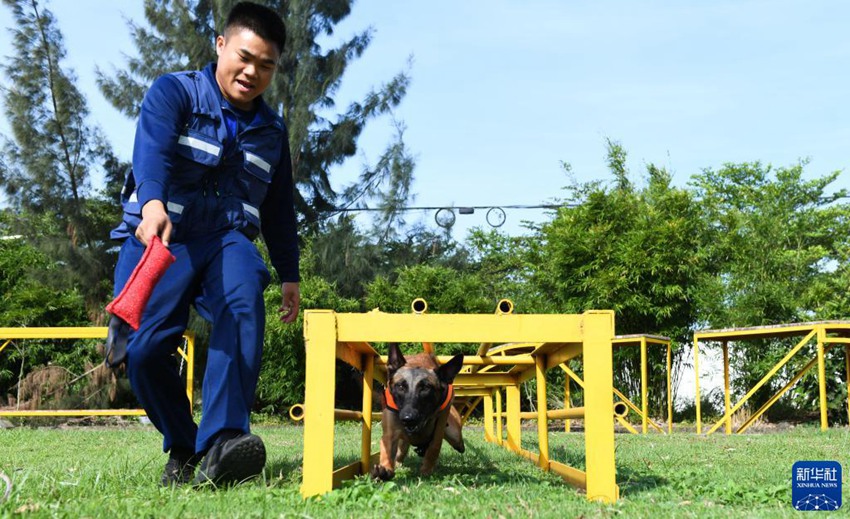 ‘????’? ???? ??? ?? ???. [11? 12? ??/?? ??: ???]