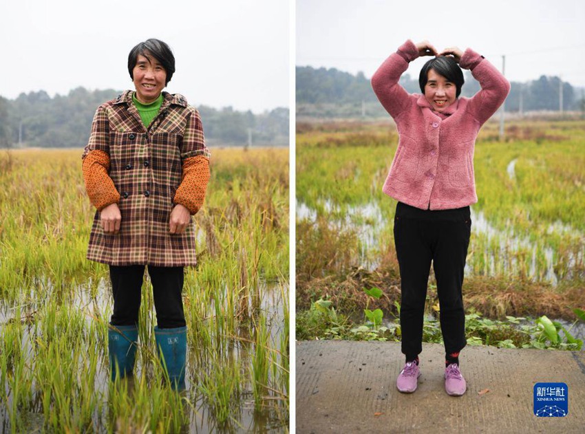 ???? ?? ???(??)/???? ?? ???(???) [?? ??: ???]