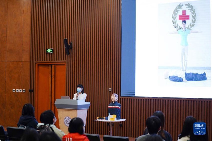 11? 28?, ????? ?? ?? ???(李晶鈴)? ?? ???????? ?? ??? ???? ??. [?? ??: ???]