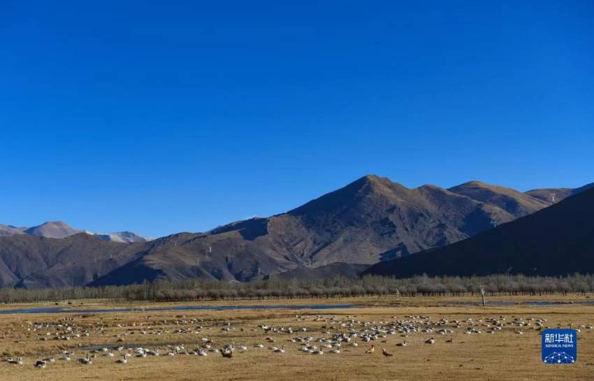 ?????? ???? ?? [12? 11? ??/?? ??: ???]