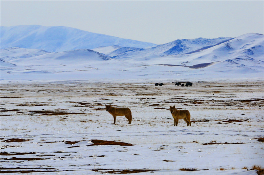 ??? ???? ??? ???? ?? [?? ??: ???]