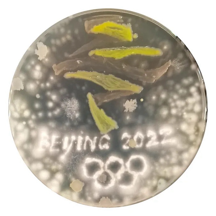 ???? ?? ????? ??? [?? ??: ???]