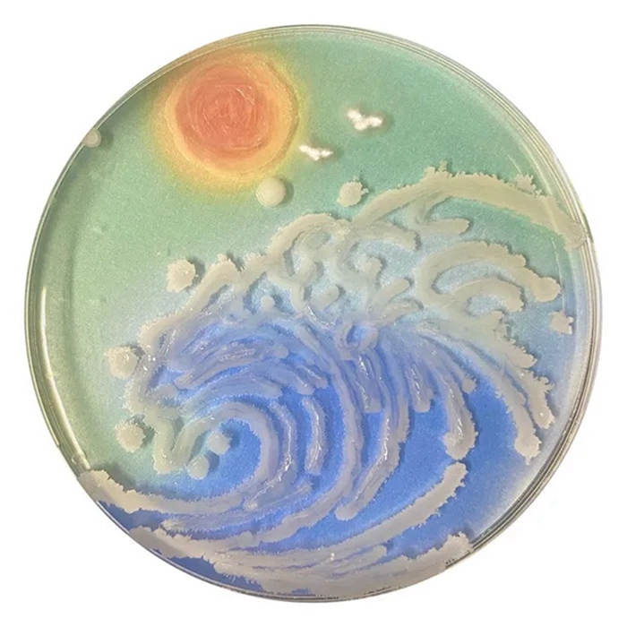 ??? ??? ?? [?? ??: ???]