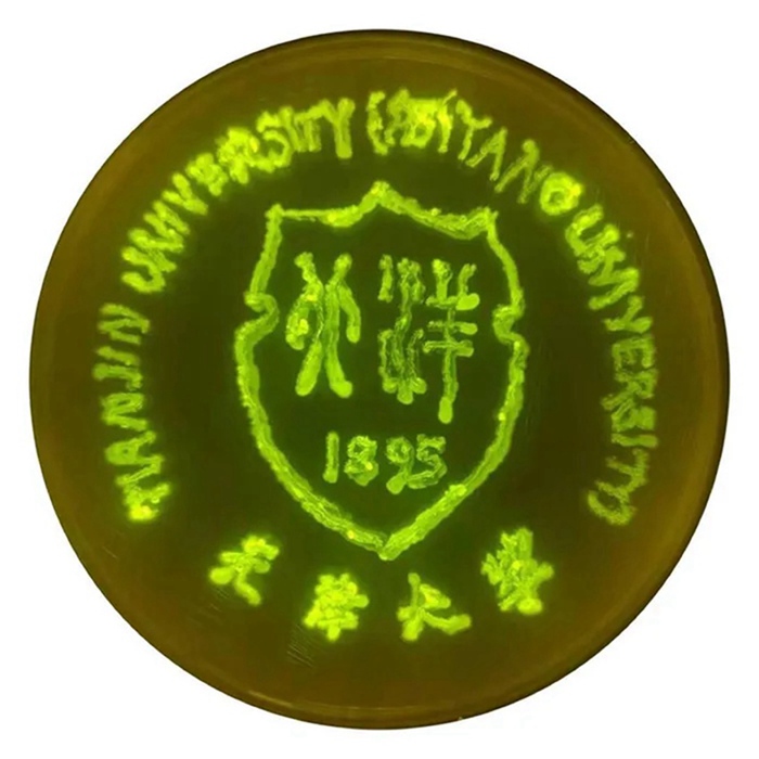 ???? ?? ????? ?? [?? ??: ???]