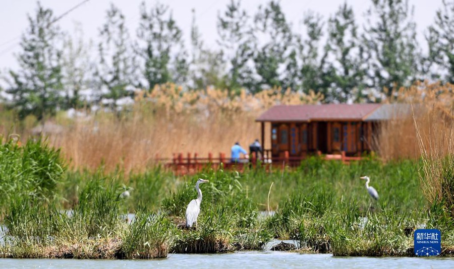 ?? ???? ???? ??? [4? 30? ??/?? ??: ???]