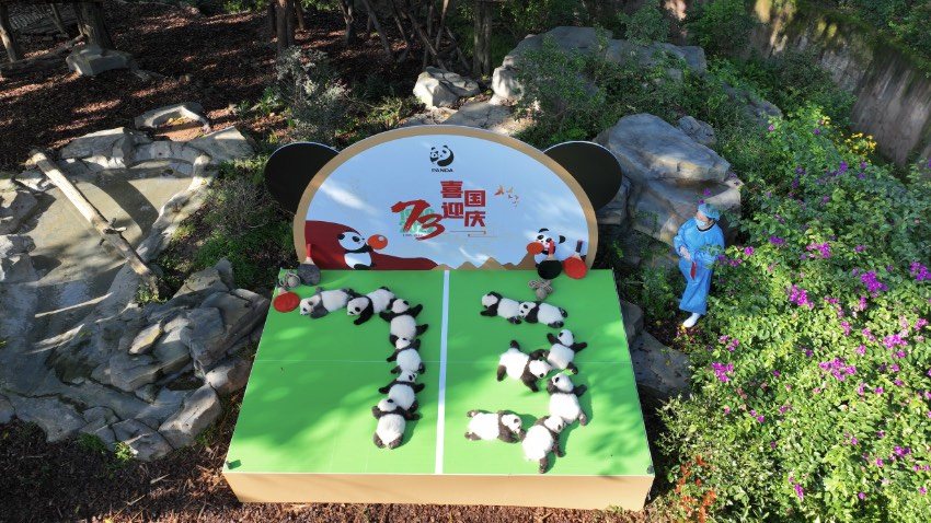 ?? ??? ?? ???? ??? ????. [?? ??: ?? ?????? ?? ?? ??]