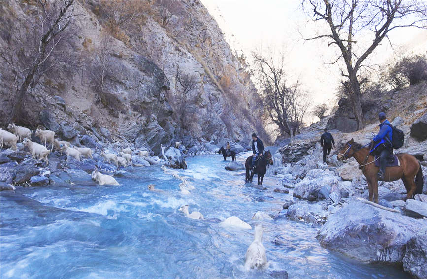 ????? ??? ?? ?? ?? ?? ??? ??. [?? ??: ????·????]