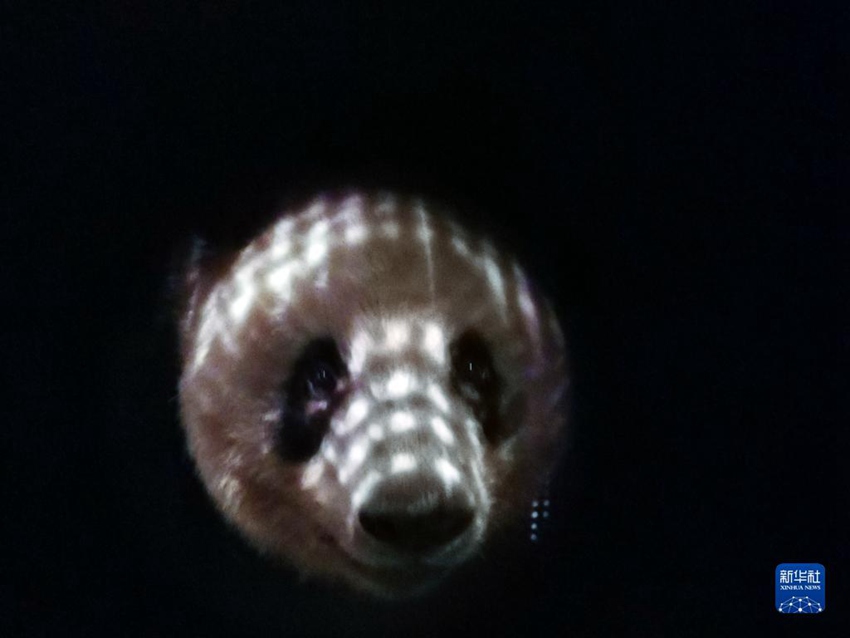 ?? ??????? ???? ??? ?????? ?? [2? 21? ??/?? ??: ???]