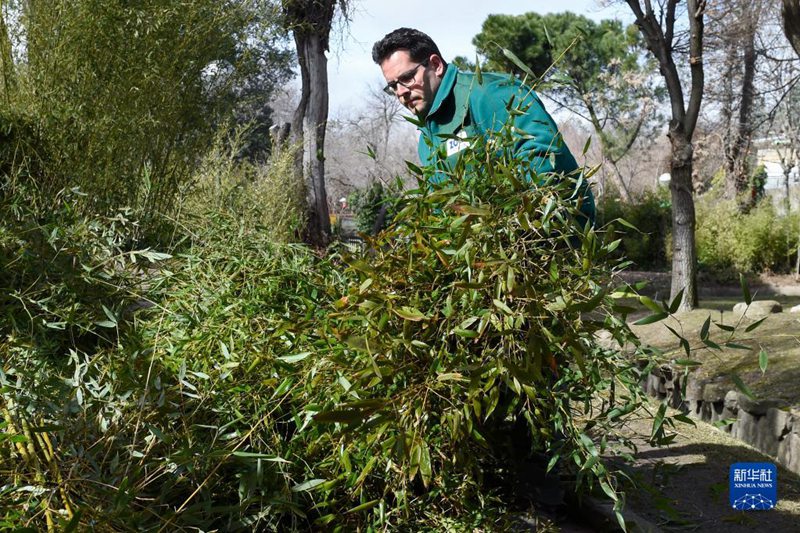 3? 7?, ????? ?????? ???? ??? ??