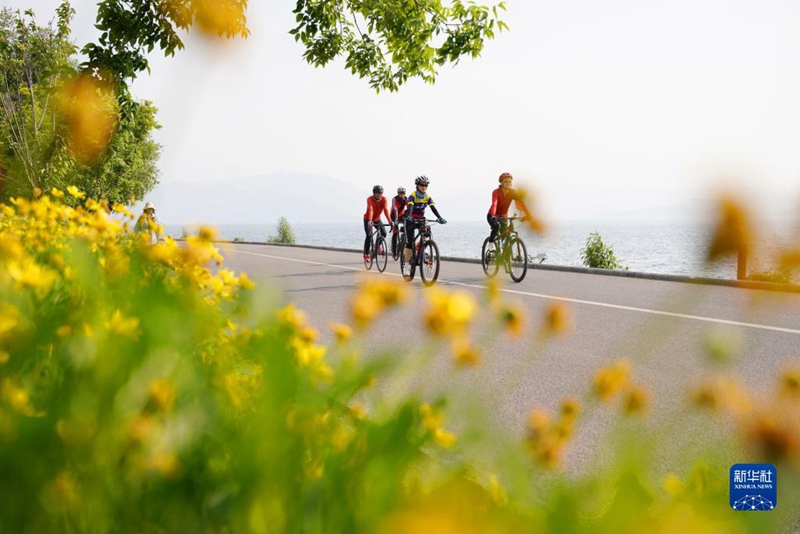 4? 20?, ??? ????? ??(雲(yún)南) ??(大理) ???(洱海) ????? ???. [?? ??: ???]