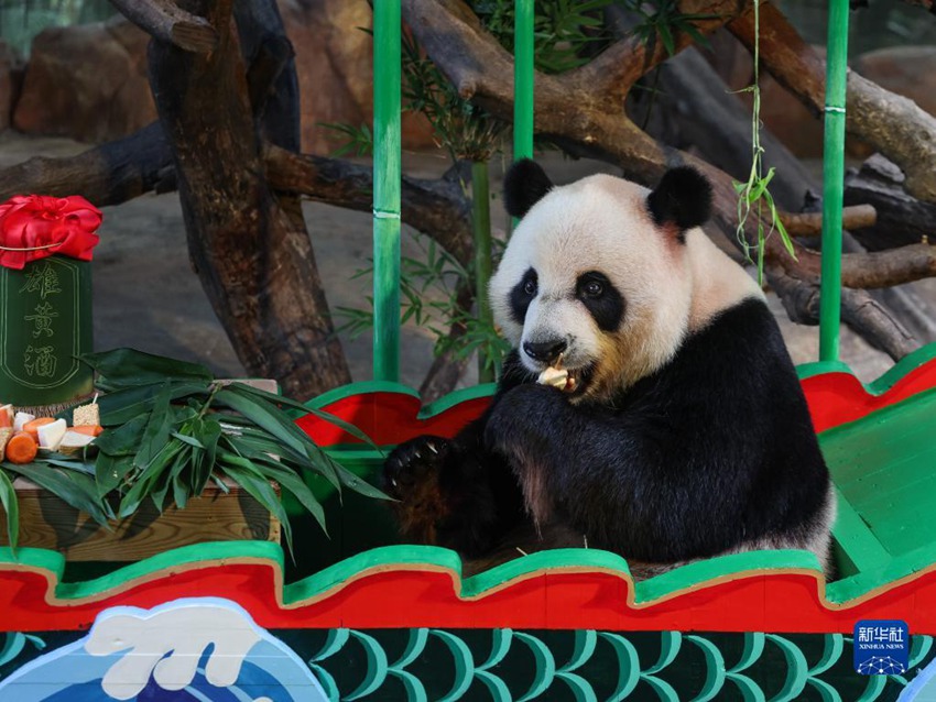 21? ??? ?? ?? ?????? ???? [?? ??: ???]