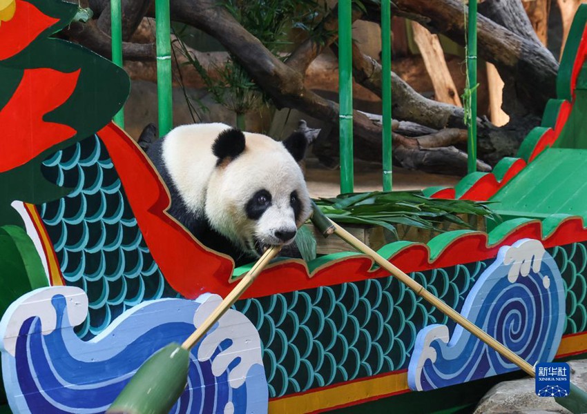 21? ??? ?? ?? ?????? ???? [?? ??: ???]