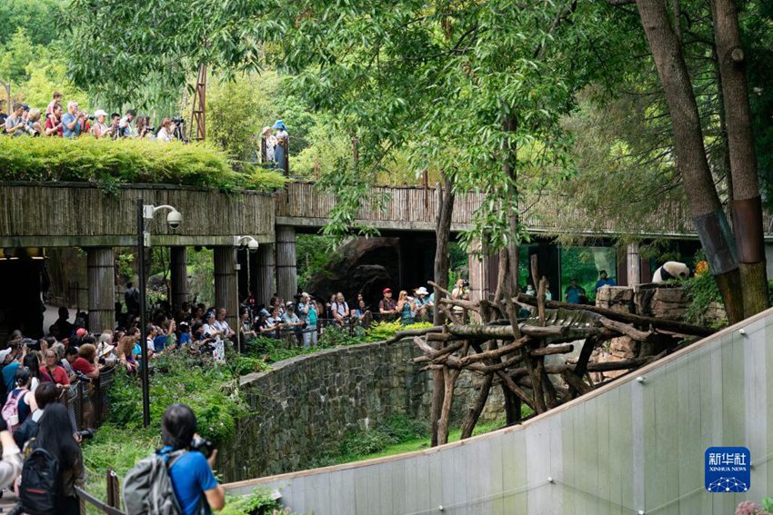 ?? ?? ??? ?????? ????? ????? ?????? ‘????’ ??? ?? ????. [8? 21? ??/?? ??: ???]