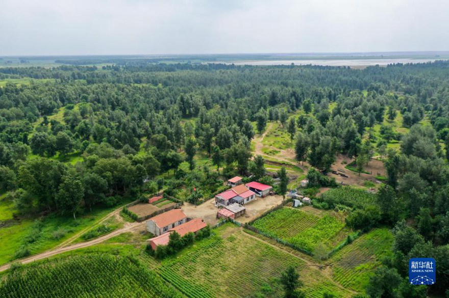 ???? ? [8? 2? ?? ??/?? ??: ???]