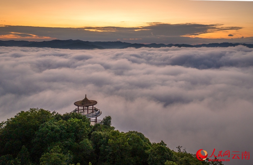 ??? ????? ? ? ?? ???? ??