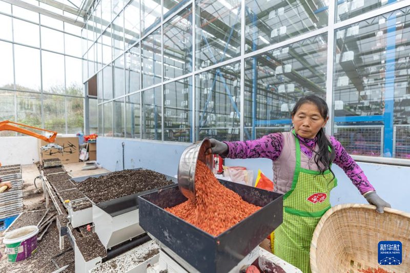 3? 12?, ???? ? ???? ?????? ??? ???.