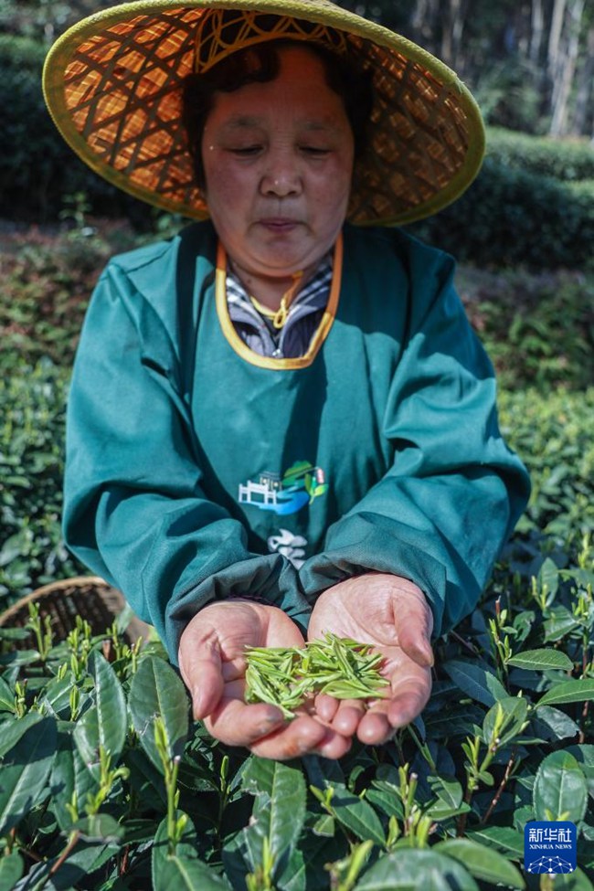 ??? ? ? ?? ?? ??? ????. [3? 20? ??/?? ??: ???]