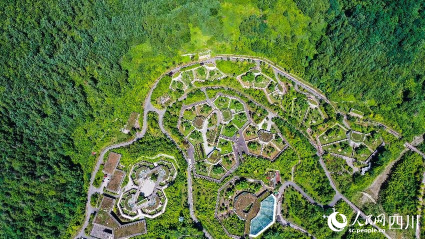 ‘???’ ? ?, ???? ?? ?????