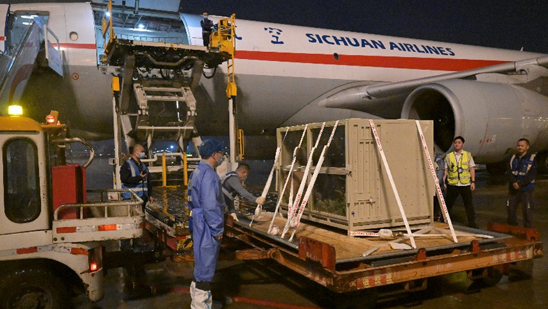 4? 3? ??, ???? ????? ????