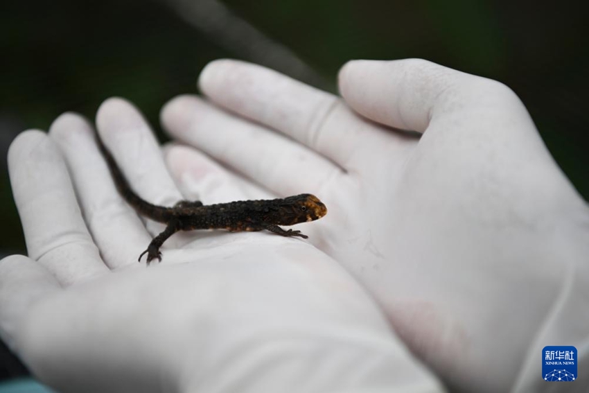 ??? ? ? ? ? ?? ????? [3? 21? ??/?? ??: ???]