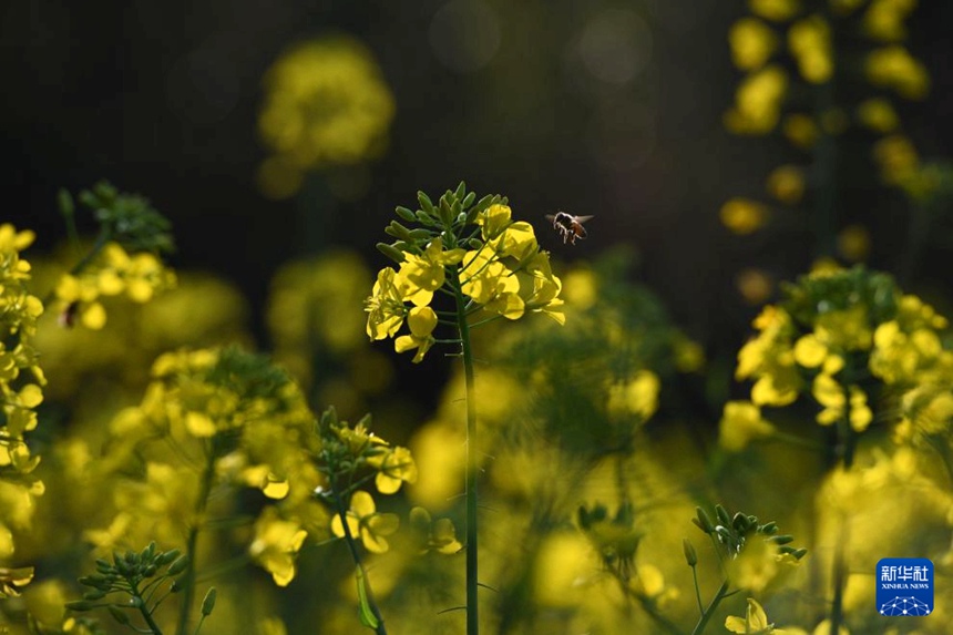 ????? ??? [3? 20? ??/?? ??: ???]