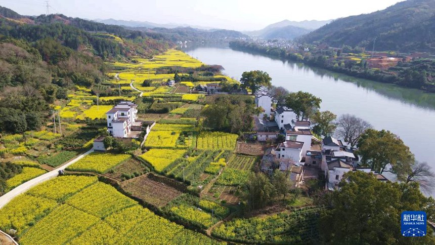 ???? ??? ?? ???? ?? [3? 21? ?? ??/?? ??: ???]