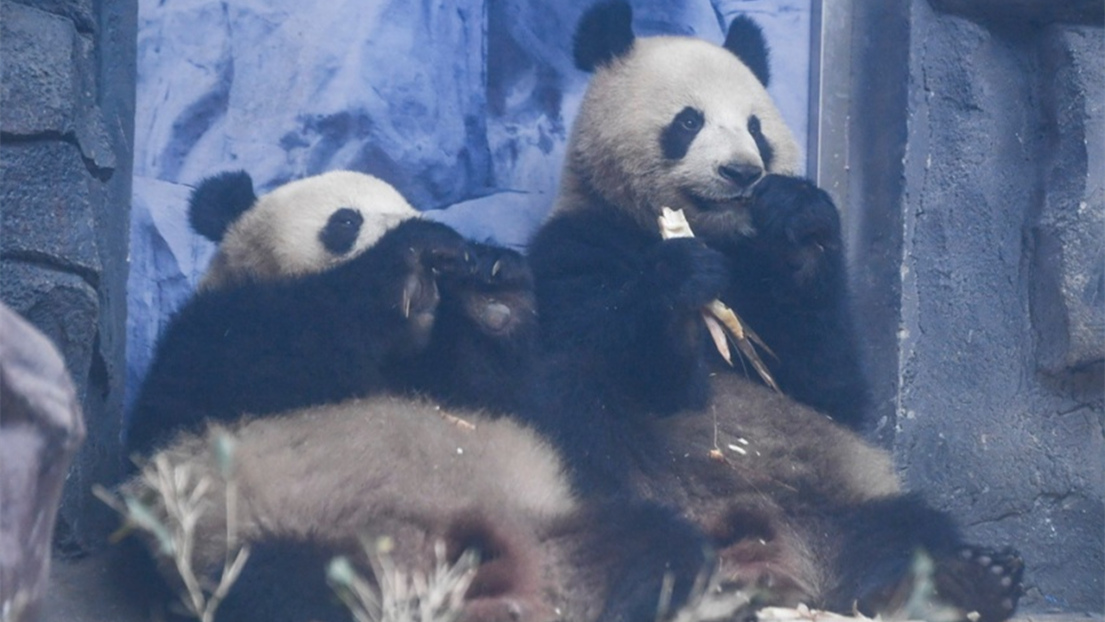 [??] ?? ??? ??? ?????? 4??