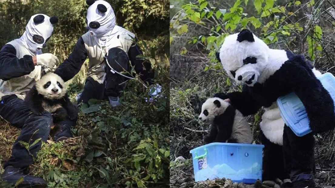 中, ?? ?????? ?? ??? ??? ???