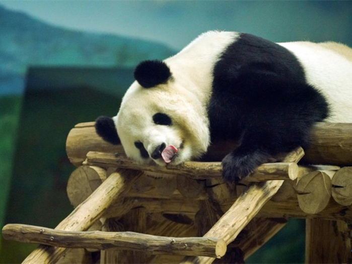 [??] 16? ?? ??? ?????? ??