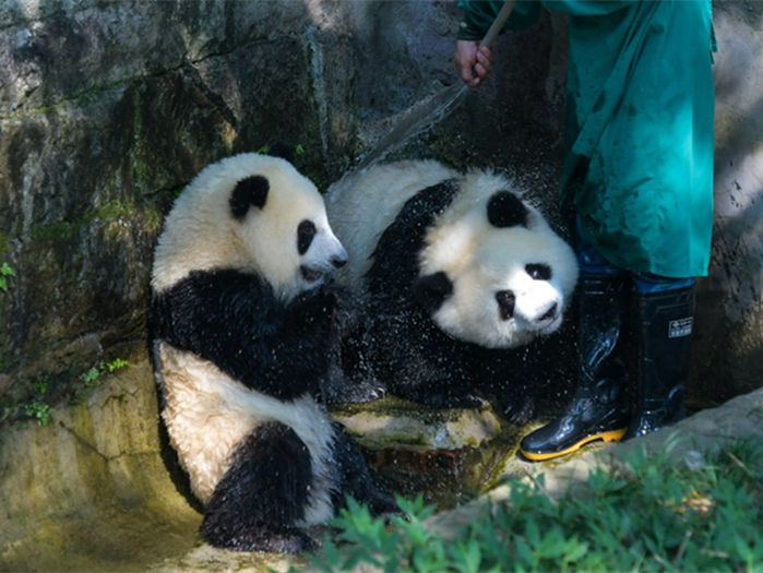 ??? ?? ???? ??? ??? ???? ?????? ???