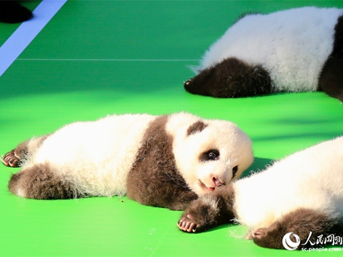 ?? ?? ?? 2022? ?? ?? ??