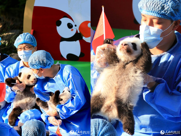 ?? ?? ?? 2022? ?? ?? ??