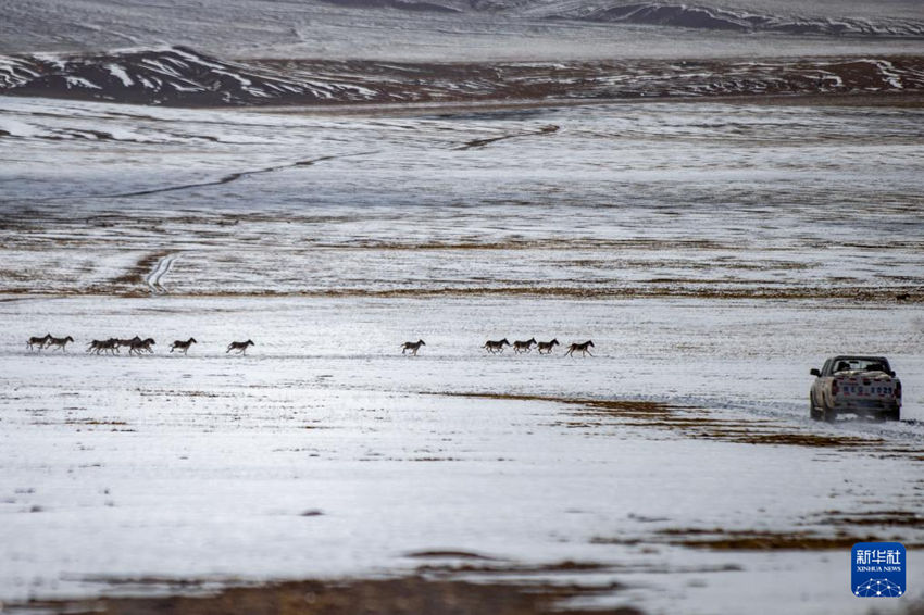 ???(藏野驢: ?? ?? ???) ??? ?????????? ?? ?? ?? ????. [5? 9? ??/?? ??: ???]